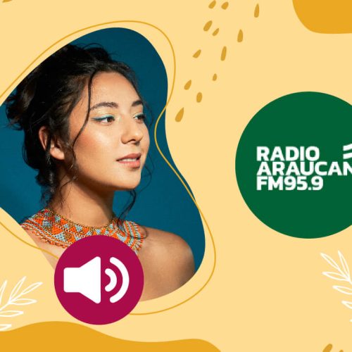 [AUDIO] Entrevista con Radio Araucana FM 95.9